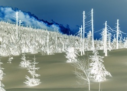 Negatyw