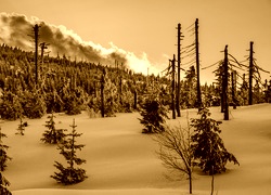 Sepia