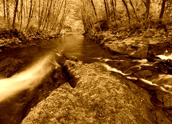 Sepia