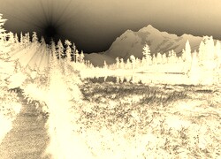 Sepia + Negatyw