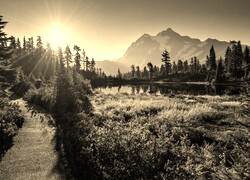 Szary + Sepia
