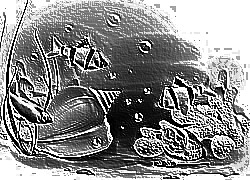 Skamielina