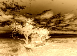 Sepia + Negatyw