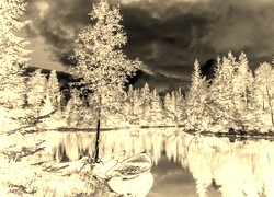 Sepia + Negatyw