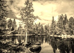 Szary + Sepia