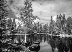Szary