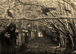 Szary + Sepia