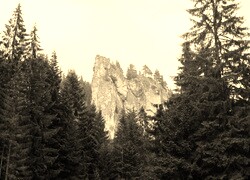 Szary + Sepia