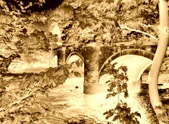 Sepia + Negatyw