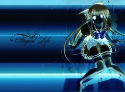 Negatyw
