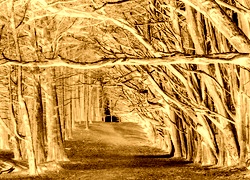Sepia + Negatyw
