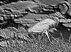 Skamielina
