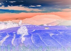 Negatyw
