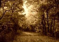 Sepia