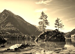 Szary + Sepia