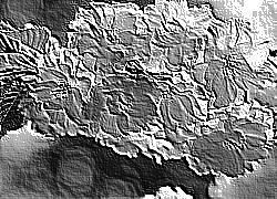 Skamielina