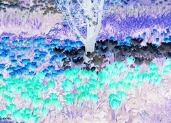 Negatyw