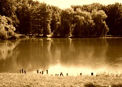 Sepia