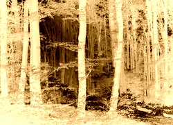 Sepia + Negatyw