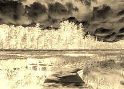 Sepia + Negatyw