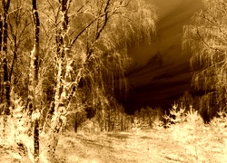 Sepia + Negatyw