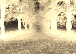Sepia + Negatyw