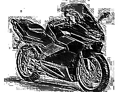 Skamielina