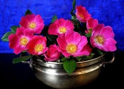 Oryginalny obrazek