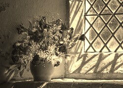 Szary + Sepia