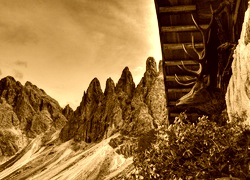 Sepia