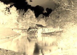 Sepia + Negatyw