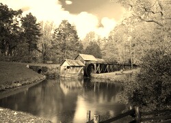 Szary + Sepia