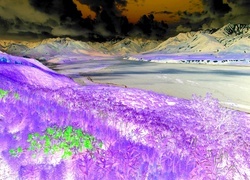 Negatyw
