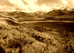 Sepia