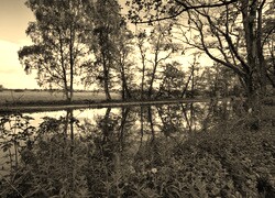 Szary + Sepia