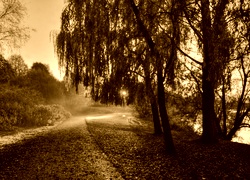 Sepia