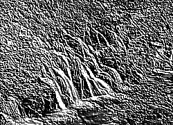 Skamielina