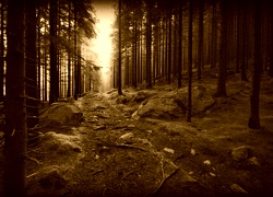 Sepia