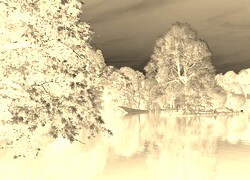 Sepia + Negatyw