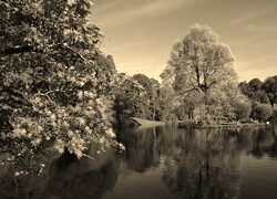 Szary + Sepia