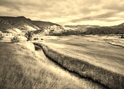 Szary + Sepia