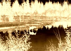 Sepia + Negatyw