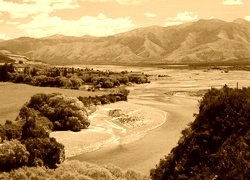 Sepia