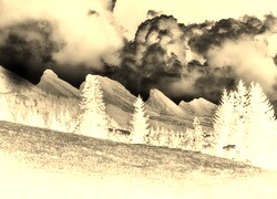 Sepia + Negatyw