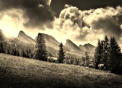 Sepia