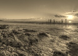 Szary + Sepia