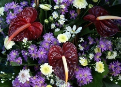 Oryginalny obrazek