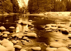 Sepia