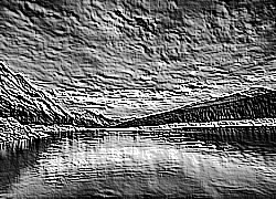Skamielina