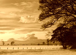 Sepia
